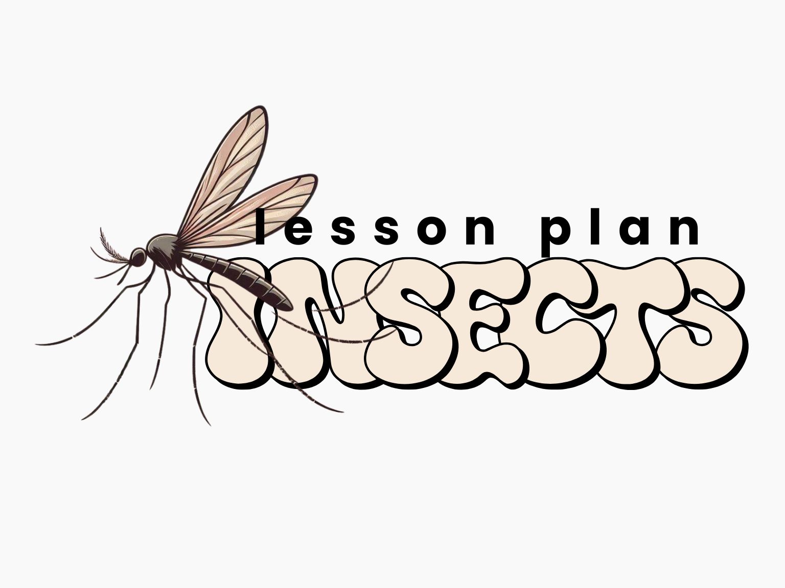 Lesson Plan: Insects & Arachnids