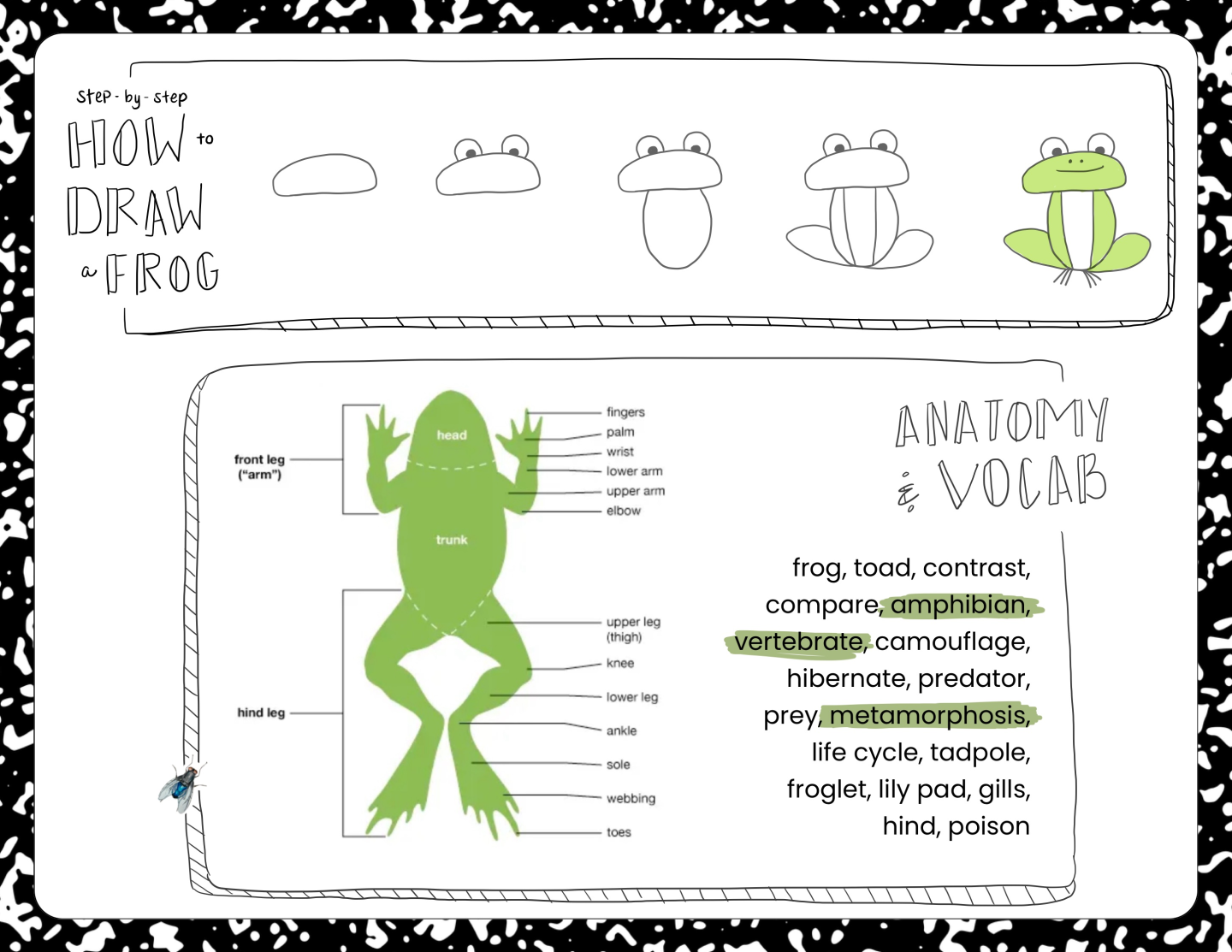 goodnotes notion homeschool note taking spread idea